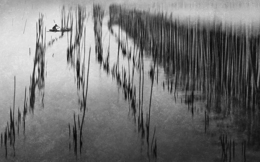 Solitary Boat Reeds by Ekkachai Khemkum — canvas wall art