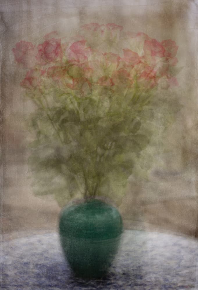 Dreamy Pink Roses by Katarina Holmström — canvas wall art