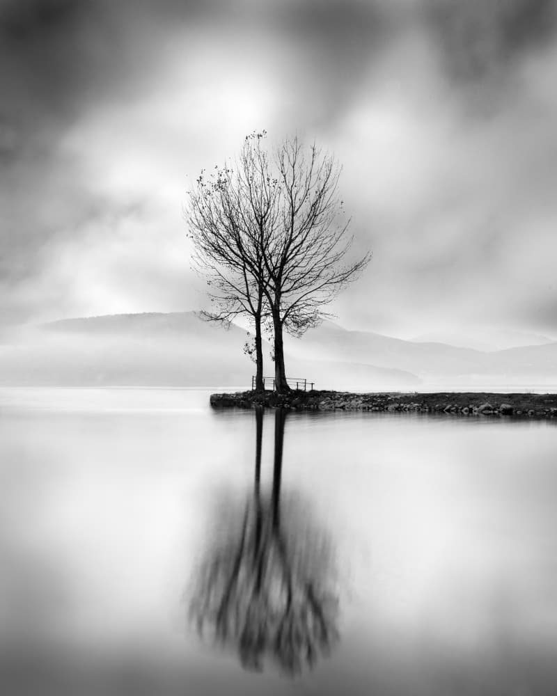 Bare Trees Reflection by George Digalakis — canvas wall art