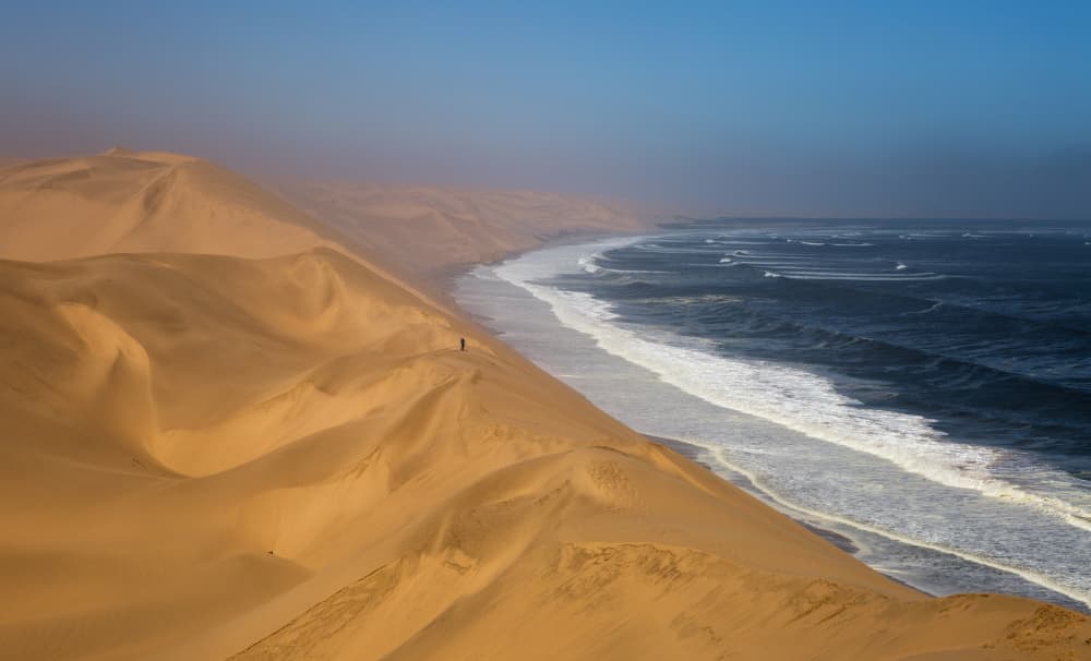 Ocean Meets Desert Dunes by Anne Berger — canvas wall art
