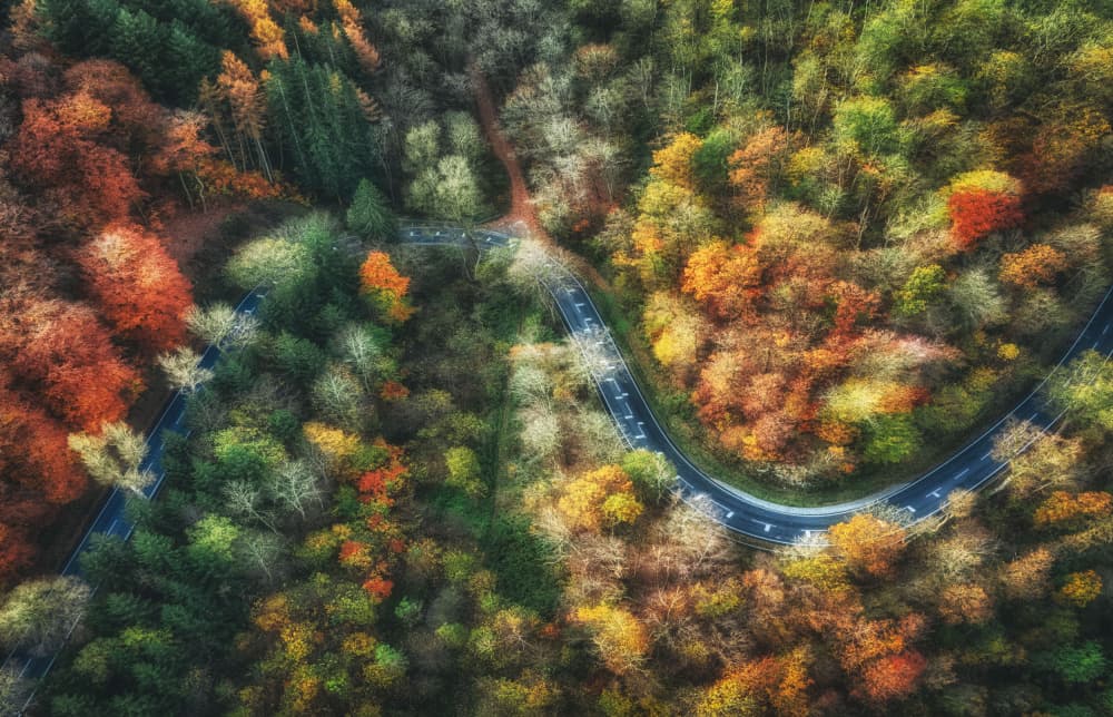 Colorful Autumn Road by Guy Krier — canvas wall art