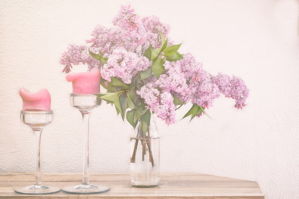 Lilac and Pink Candles by Marie-anne Stas — canvas wall art