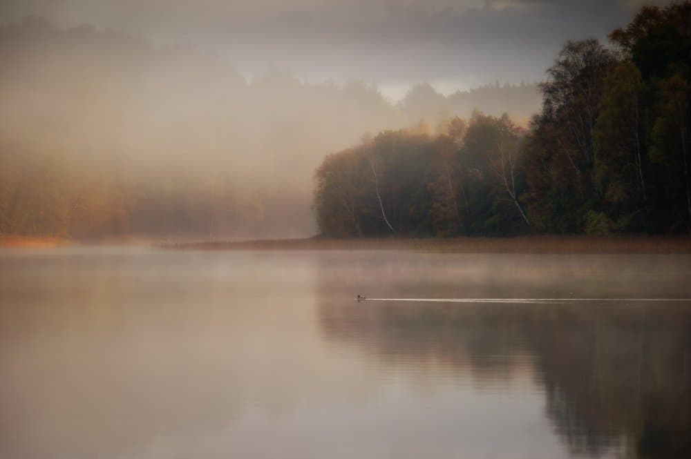 Misty Lake Morning by Benny Pettersson — canvas wall art