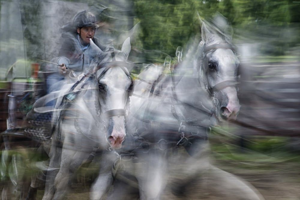 Racing White Horses by Milan Malovrh — canvas wall art