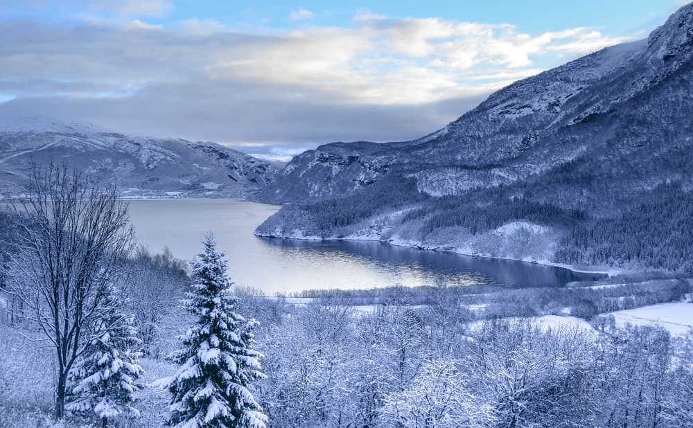 Serene Winter Fjord by Mette Caroline Strøksnes — canvas wall art