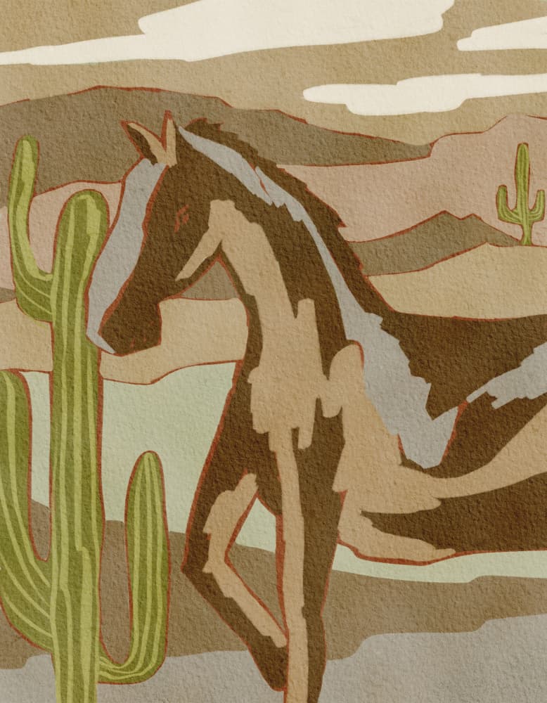 Wild Desert Horse