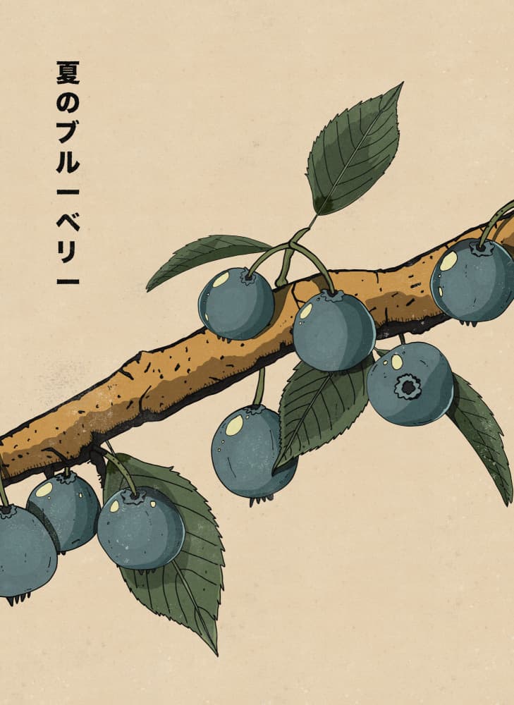Japanese Blueberry Branch by Nicholas — canvas wall art