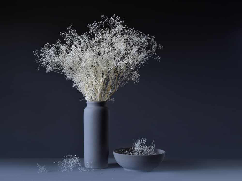 Serene Botanical Still Life by Heidi Westum — canvas wall art