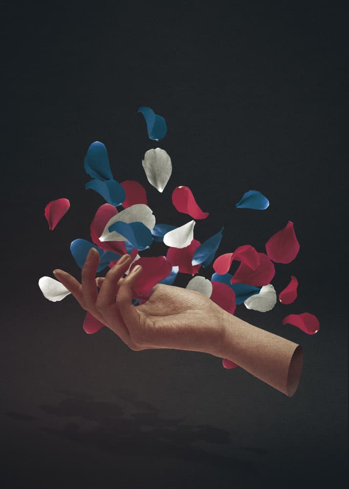 Elegant Hand Floating Petals by Fran Rodríguez — canvas wall art
