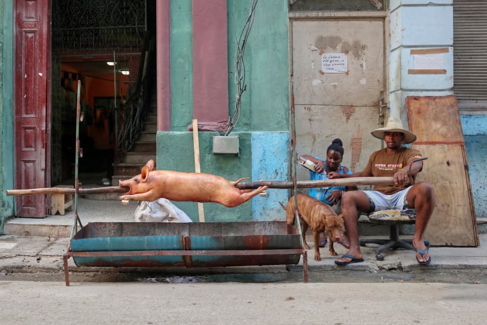Cuban Street Pig Roast by Felix Tchvertkin — canvas wall art