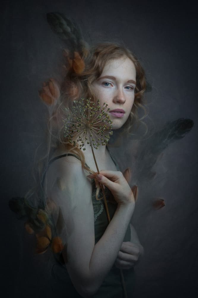 Ethereal Allium Portrait by Ruth Franke — canvas wall art