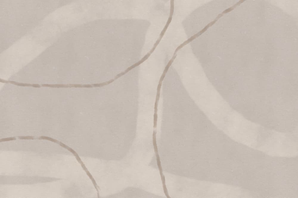 Soft Organic Curves by Dina Dankers — canvas wall art