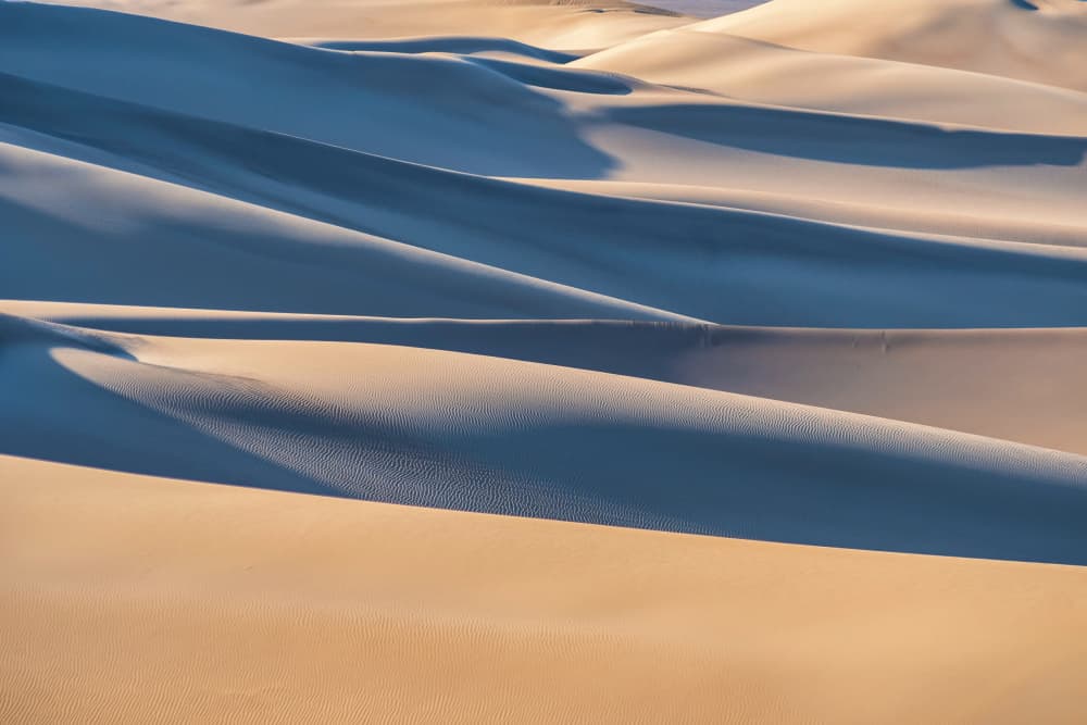 Golden Desert Curves by Mahshad Razavi — canvas wall art