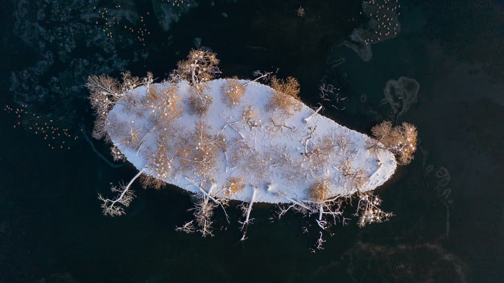 Snowy Island Winter by Mei Xu — canvas wall art