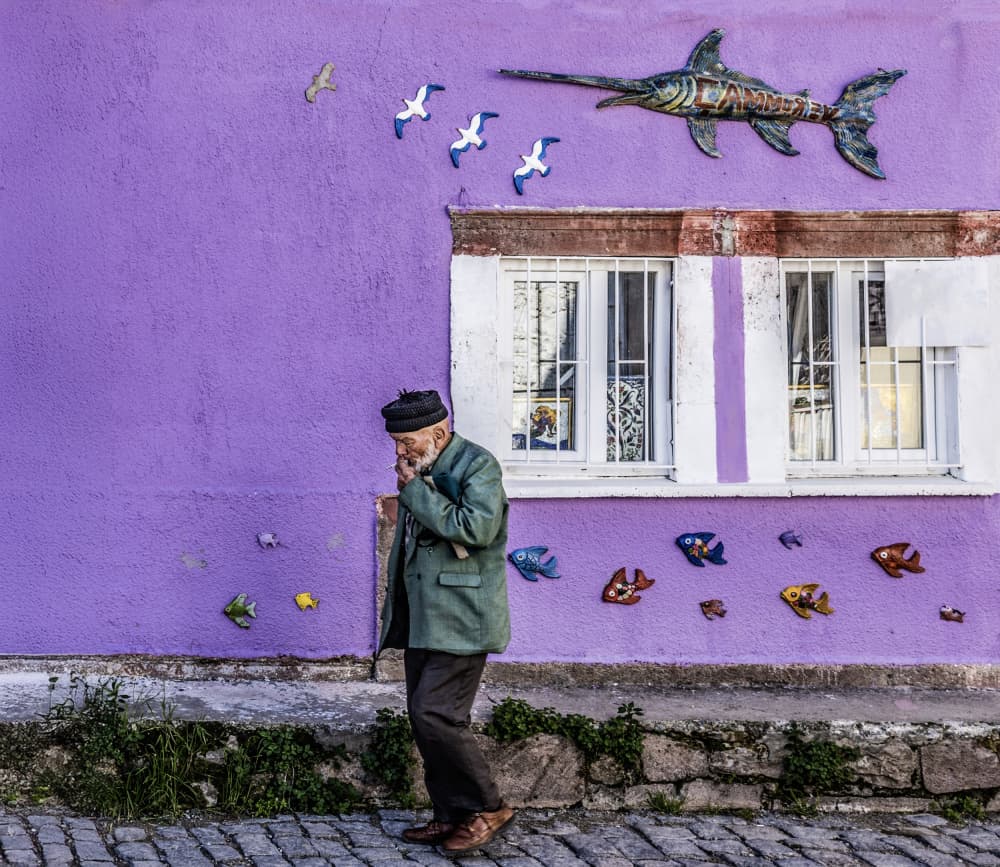 Purple Wall Wanderer by Ömer Ates Kızıltug — canvas wall art