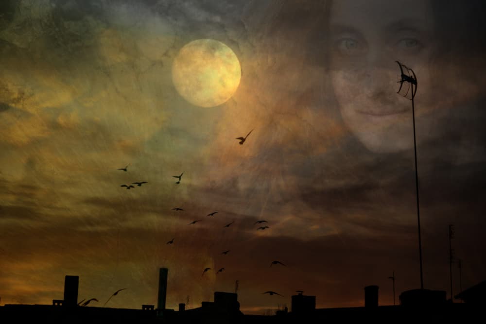 Moonlit City Dreams by Robert Fabrowski — canvas wall art
