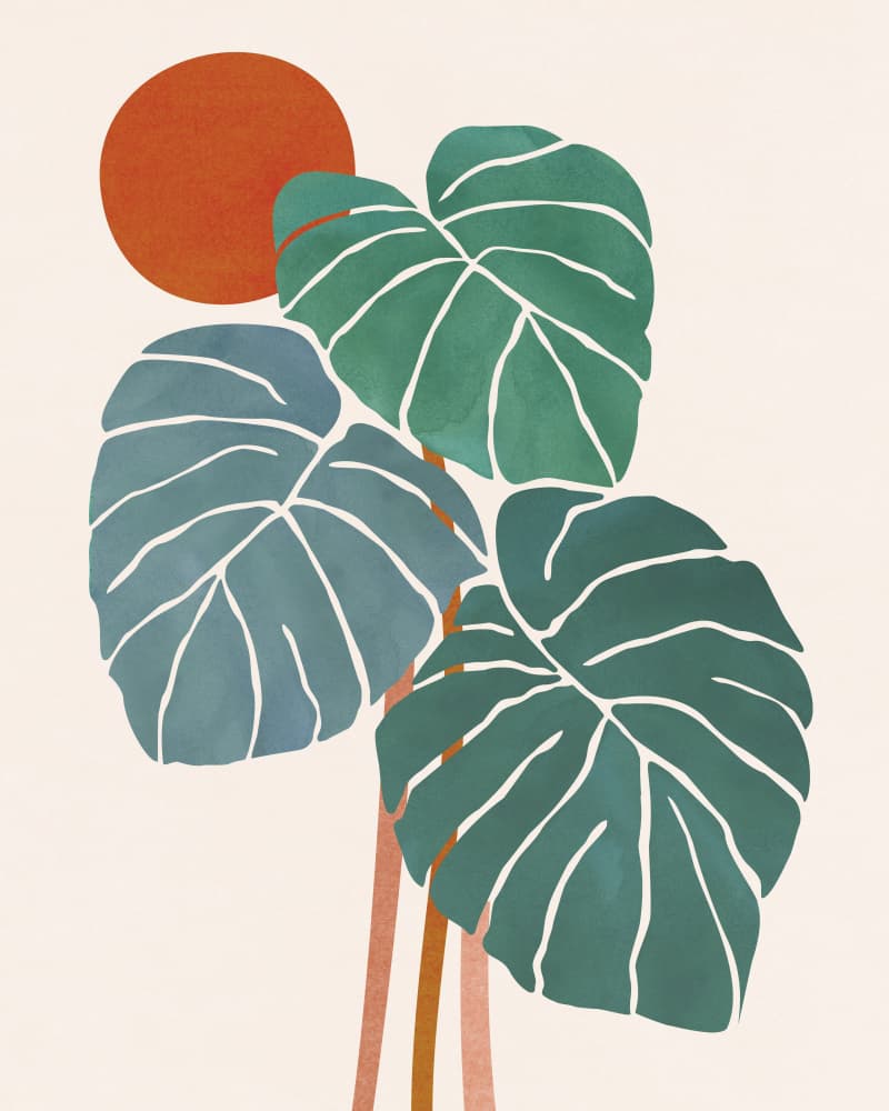 Monstera and Sunshine by Kristian Gallagher — canvas wall art