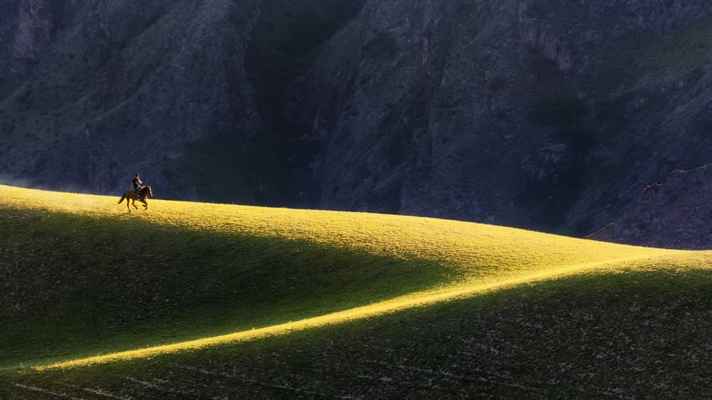 Horse on Sunlit Hill by Ke Liu — canvas wall art