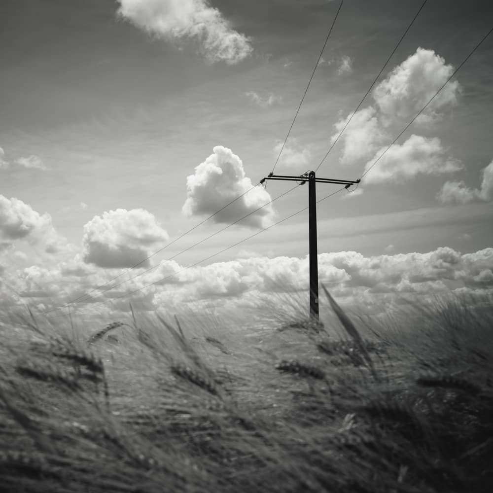 Rural Power Pole Wheat Field by Christophe Staelens — canvas wall art