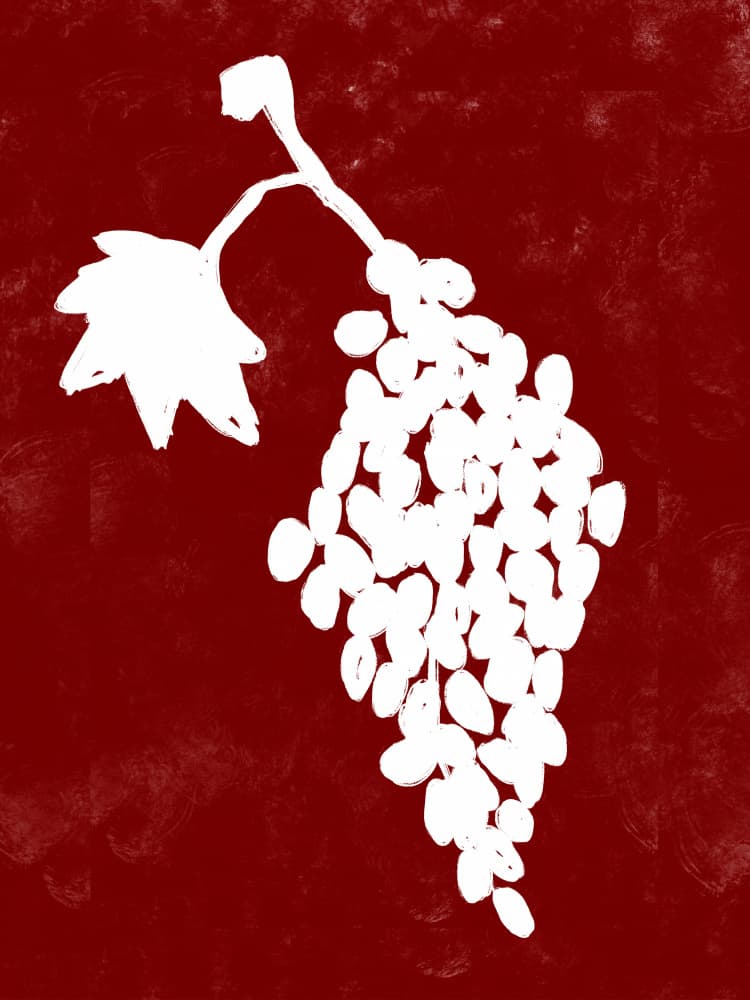 Grapevine Silhouette by Treechild — canvas wall art