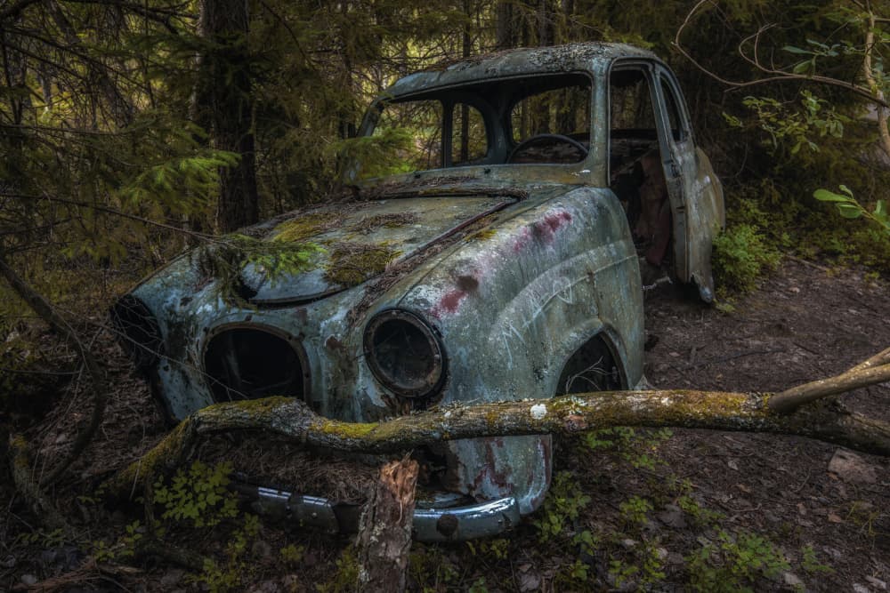 Vintage Forest Relic by Benny Pettersson — canvas wall art