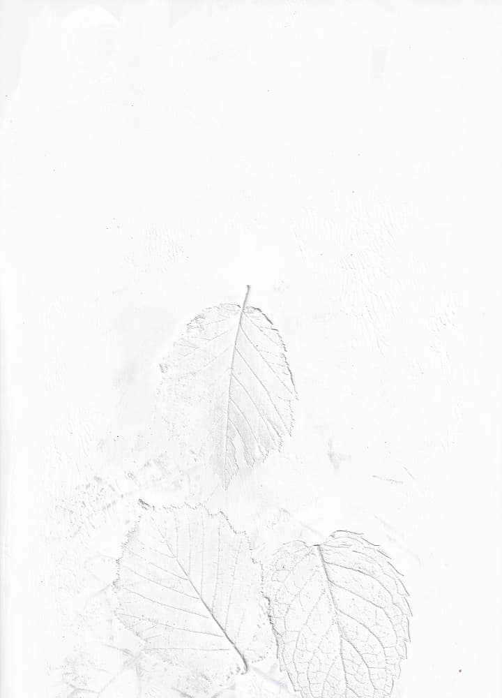 Ethereal White Leaves