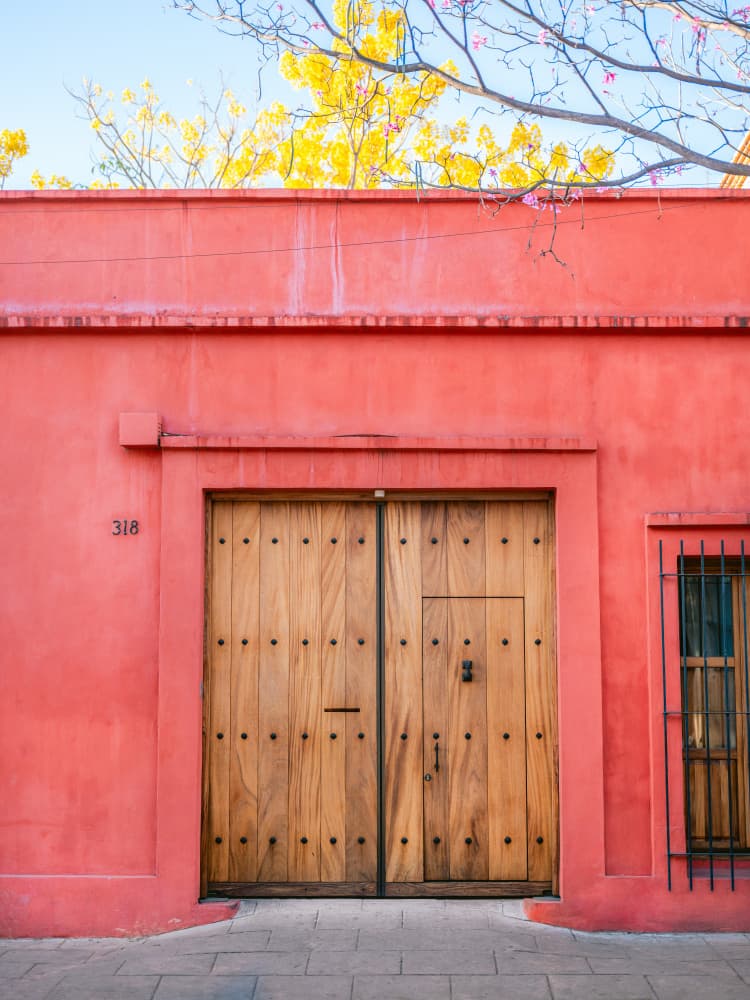 The Wooden Door | Botanical Oaxaca Mexico by Raisa Zwart — canvas wall art
