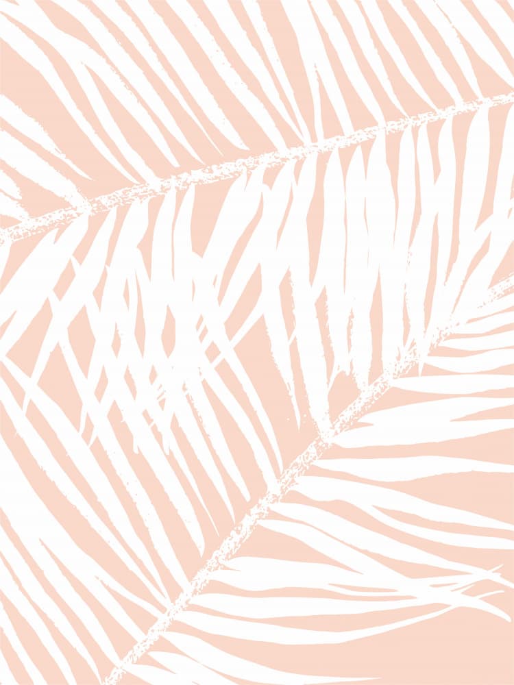 Soft Peach Palms by Nilesh Kulkarni — canvas wall art