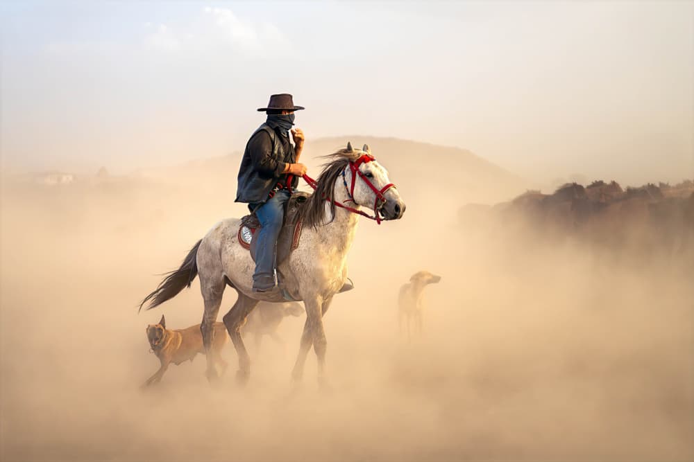 Dusty Western Ride by Mustafa Sahin — canvas wall art
