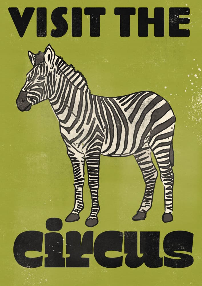 Vintage Circus Zebra by Nicholas — canvas wall art