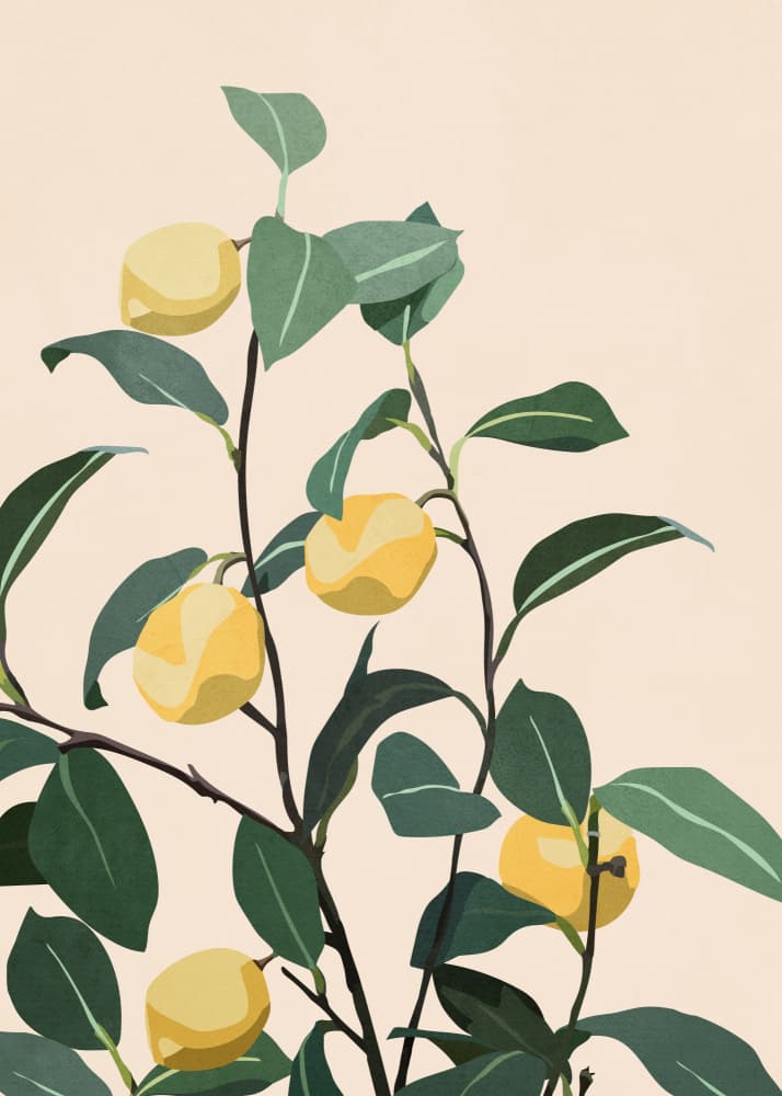 Fresh Lemon Branches