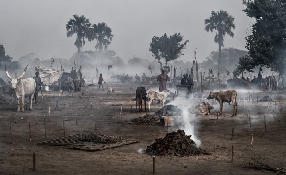 Hazy African Cattle Village by Joxe Inazio Kuesta Garmendia — canvas wall art