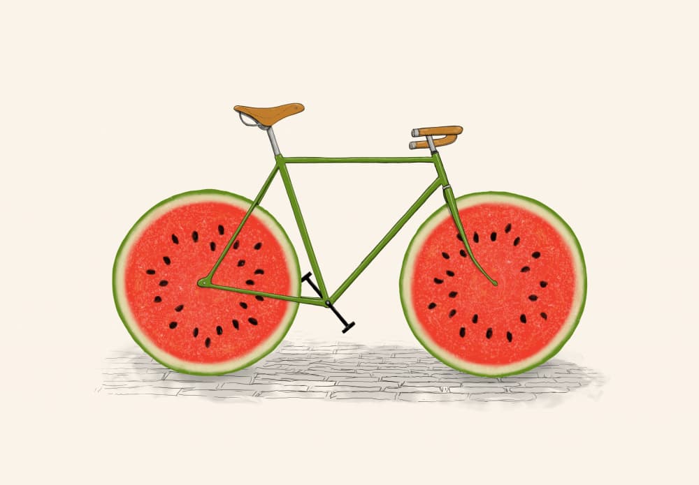 Watermelon Bicycle by Florent Bodart — canvas wall art