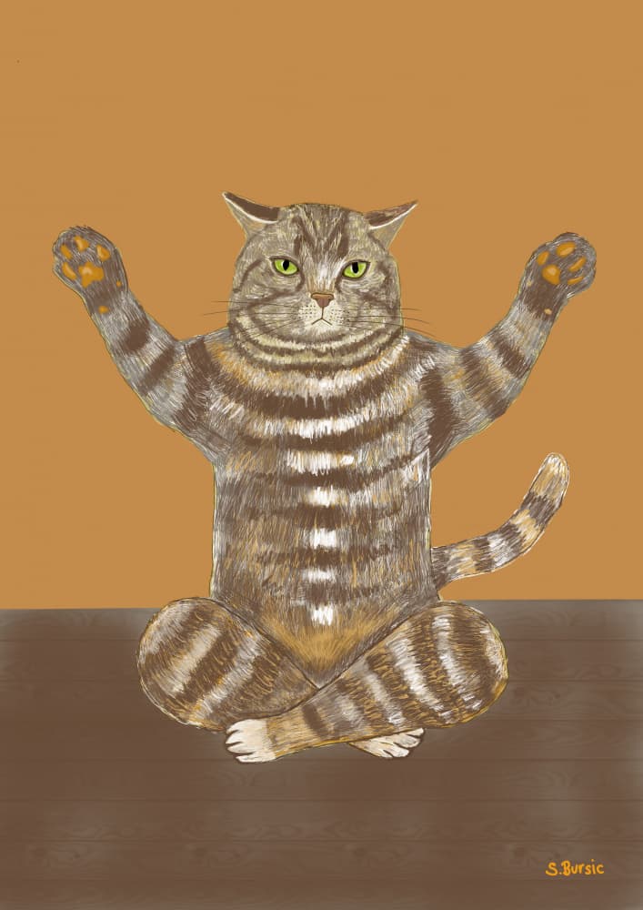Meditating Yoga Cat by Sharyn Bursic — canvas wall art