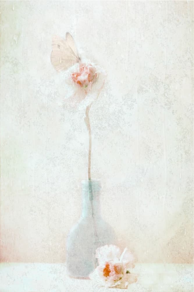 Delicate Butterfly Bloom by Delphine Devos — canvas wall art