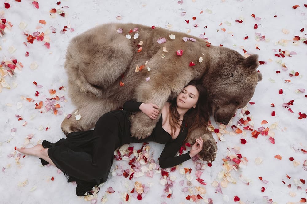 Dreaming with a Gentle Bear by Olga Barantseva — canvas wall art