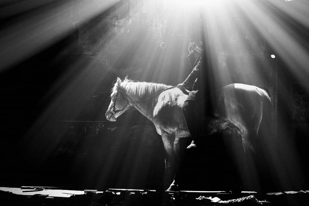 Horse Rider in Light by Yuri Shepelev — canvas wall art