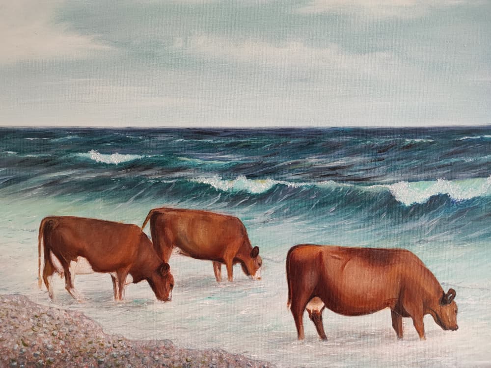 Cows of Österlen by Annette Armitage — canvas wall art