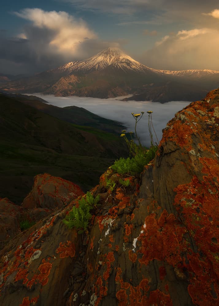 Golden Hour Mountain Vista by Majid Behzad — canvas wall art
