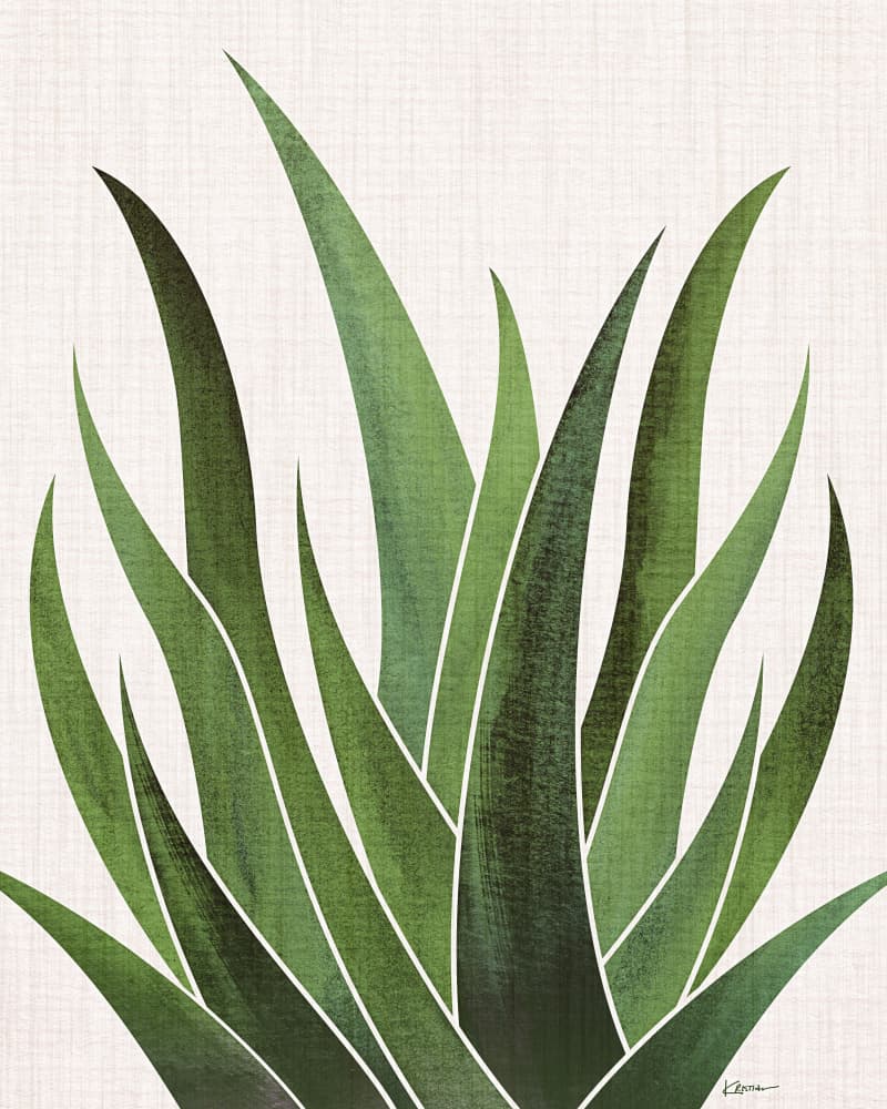 Desert Agave 3 by Kristian Gallagher — canvas wall art