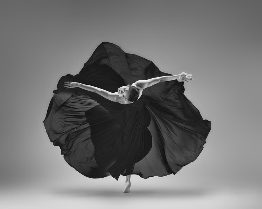 Elegant Dancer Swirl by Rob Li — canvas wall art