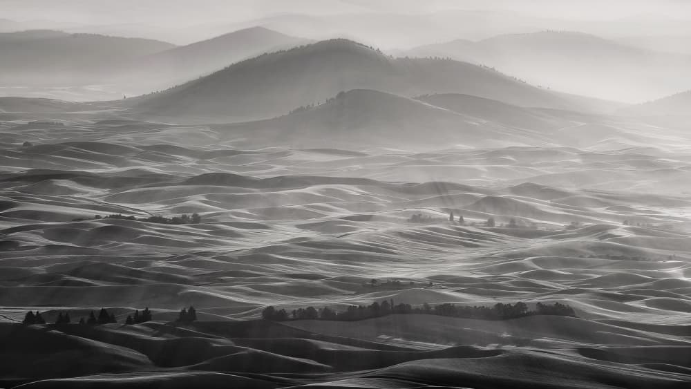 Misty Rolling Hills by NanZ — canvas wall art