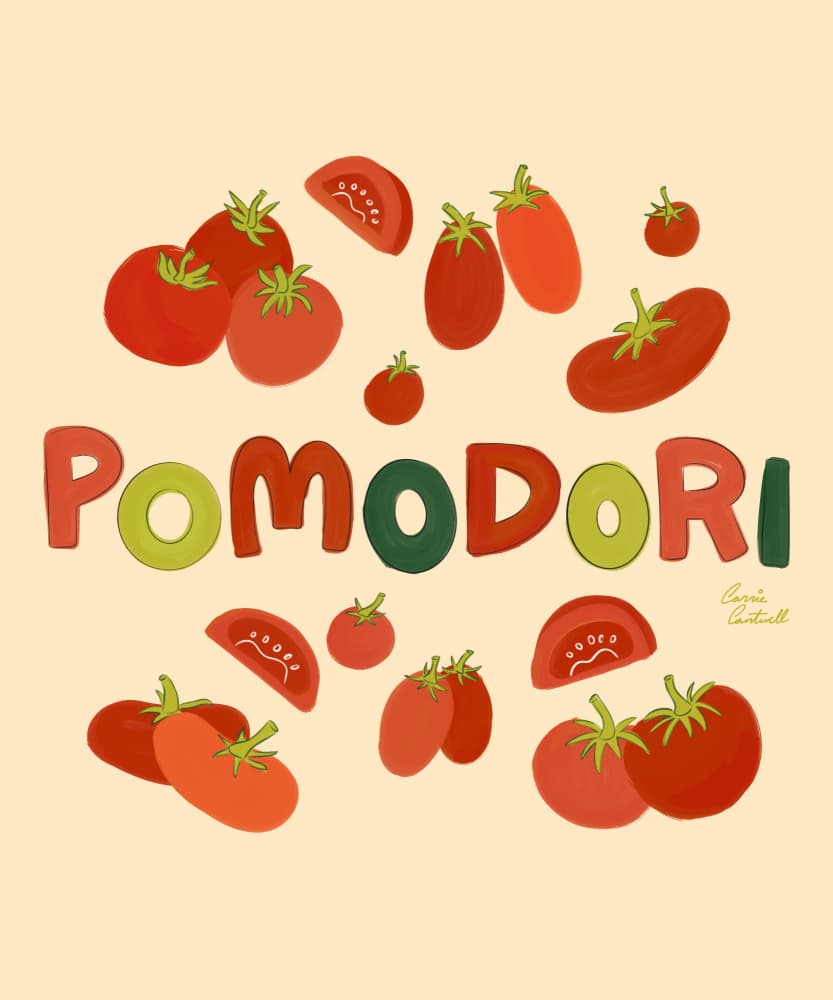 Pomodori by Carrie Cantwell — canvas wall art