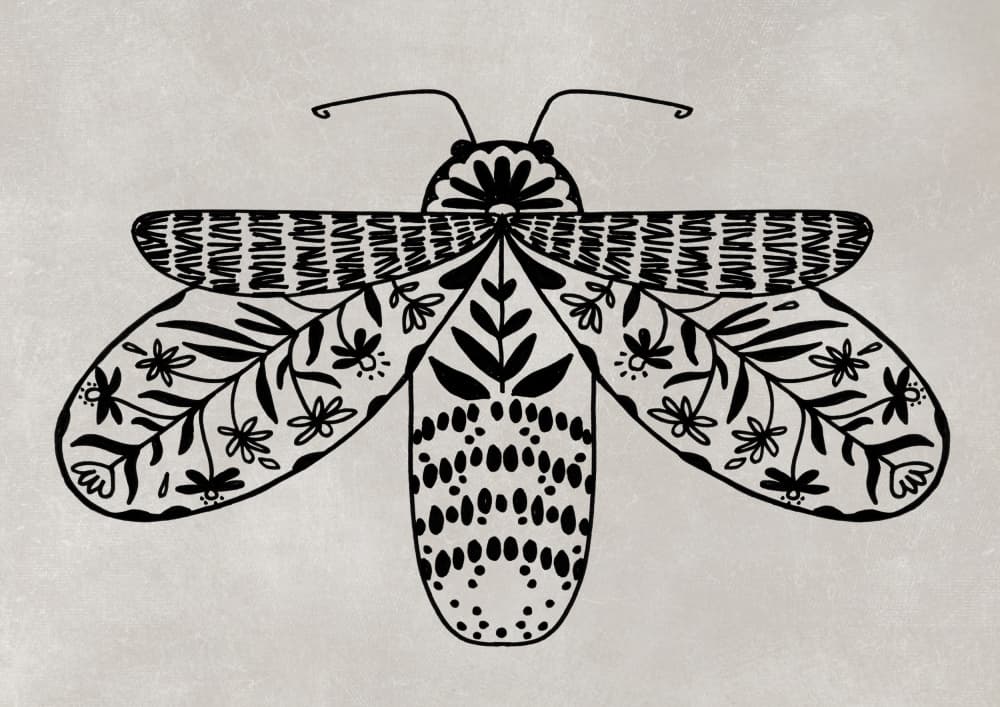 Folk Art Moth by Rosana Laiz Blursbyai — canvas wall art
