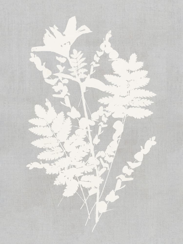 Botanical Silhouette Study by cartissi — canvas wall art