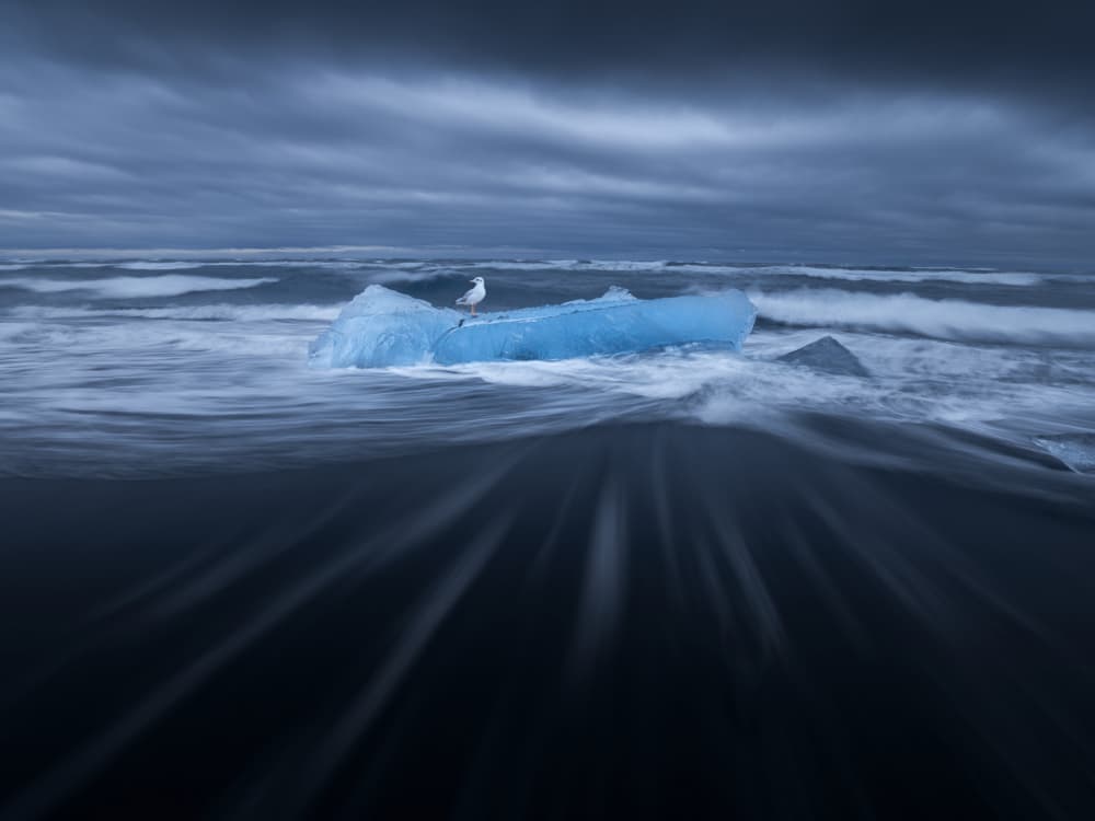 Blue Ice and Seagull by NingYun Ye — canvas wall art
