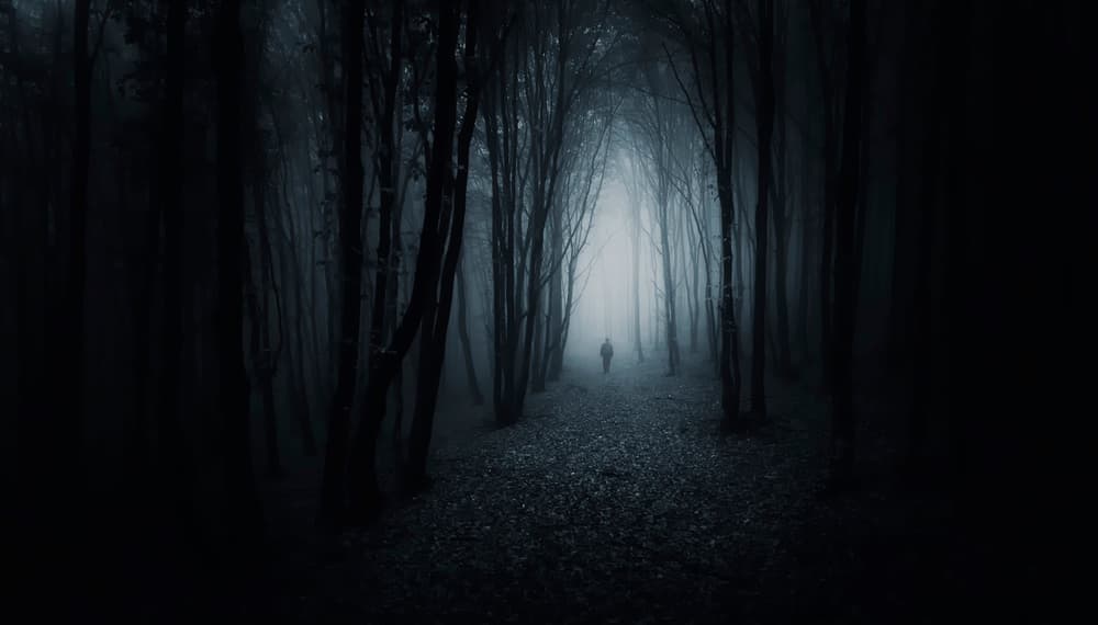 The Dark Path by PhotoCosma — canvas wall art