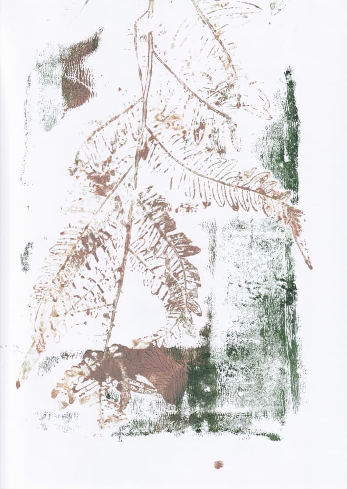 Earthy Fern Impressions by Maira Ribena — canvas wall art