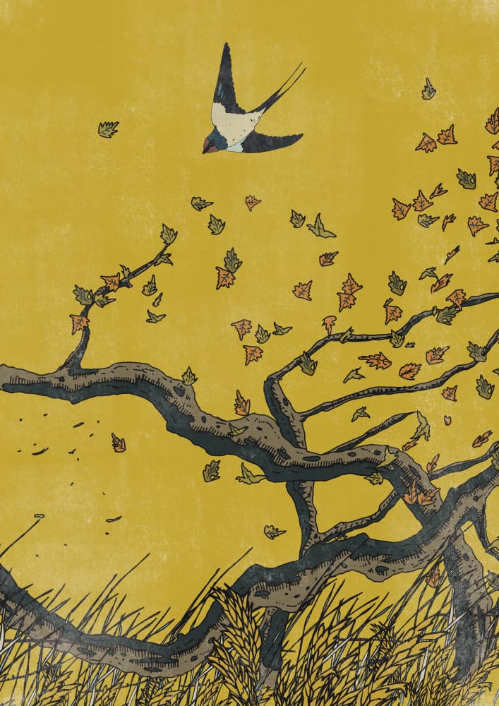 Swallow in Autumn Wind by Nicholas — canvas wall art