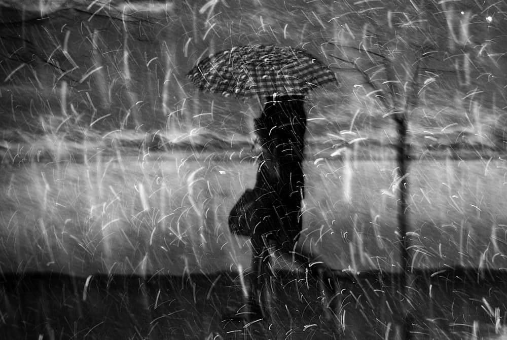 Solitary Rainy Walk by Nicoleta Gabor — canvas wall art